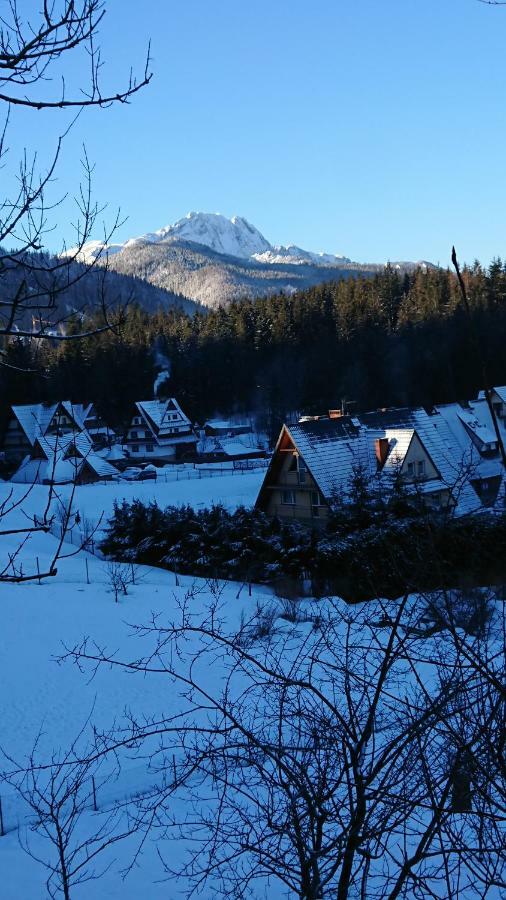 Hostel & Apartments U Florka 2 Zakopane Luaran gambar
